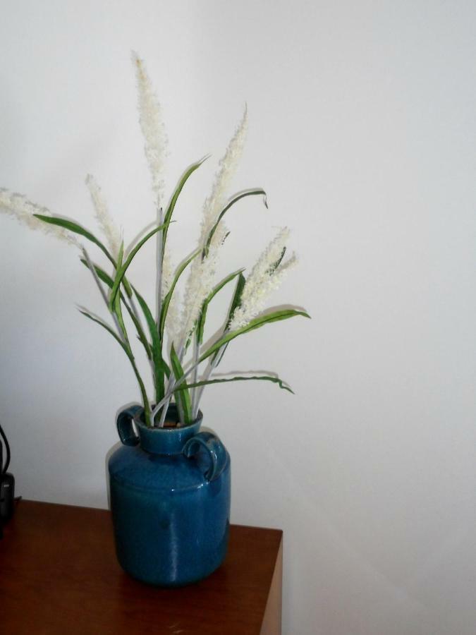 蓬塔德尔加达Casa Da Flor公寓 外观 照片